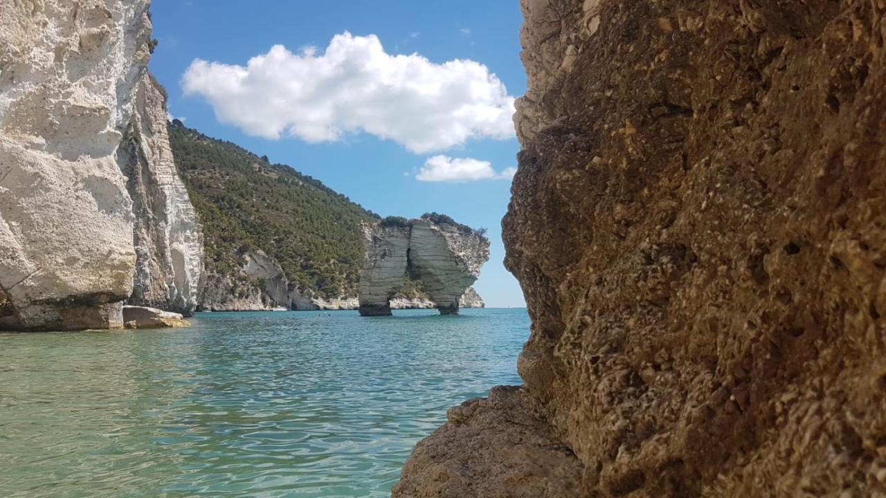 Tenuta Santa Maria Mattinata Dış mekan fotoğraf