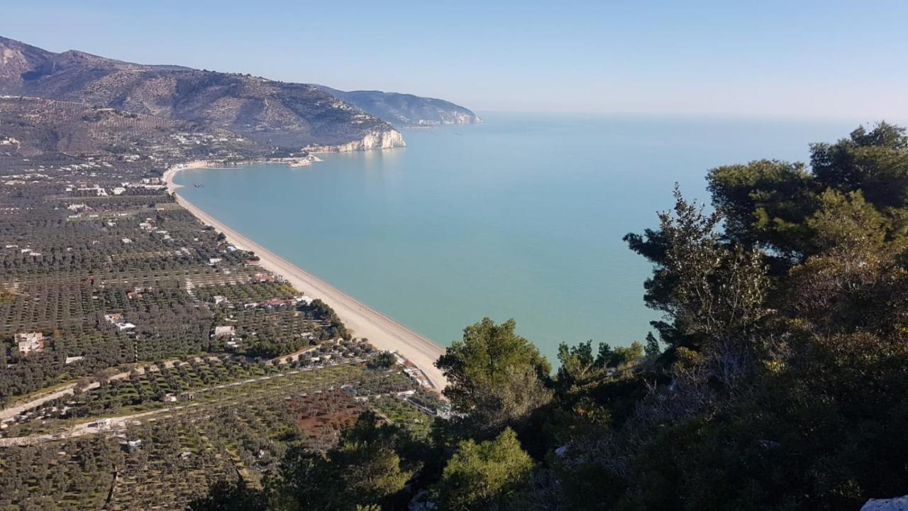 Tenuta Santa Maria Mattinata Dış mekan fotoğraf