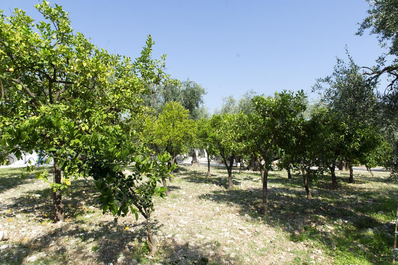 Tenuta Santa Maria Mattinata Dış mekan fotoğraf