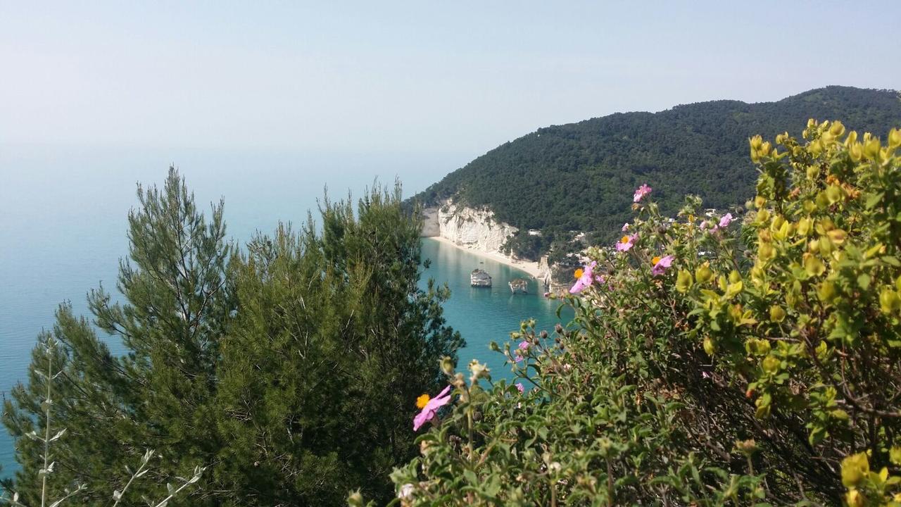 Tenuta Santa Maria Mattinata Dış mekan fotoğraf